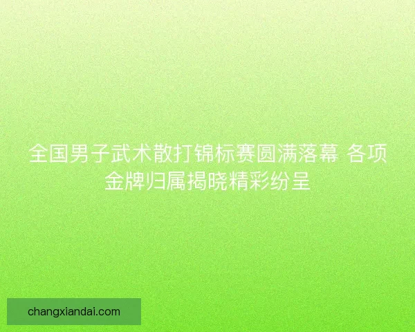 全国男子武术散打锦标赛圆满落幕 各项金牌归属揭晓精彩纷呈